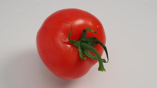 Red Tomato Rotates on a White Background