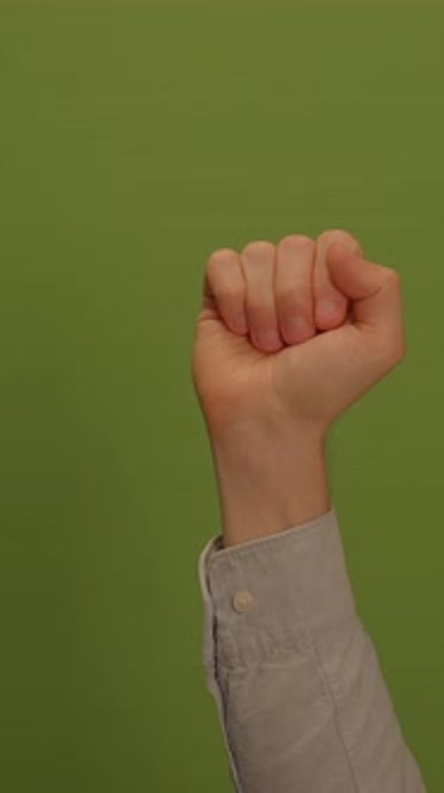 A Solid Green Background Offering Versatile Opportunities for Various Uses and Projects