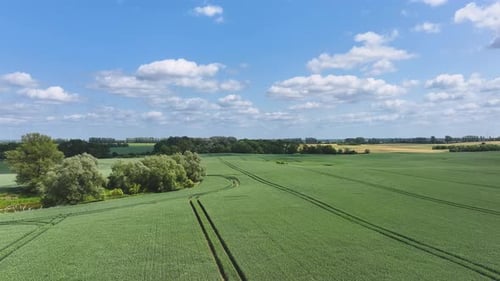 Aerial view of green fields and trees, Germany.