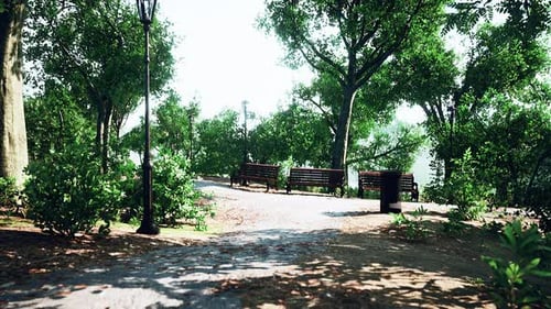 Paths in the Park Zone