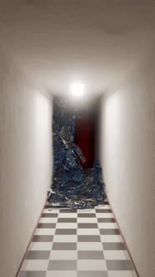 3D Loop Satisfying Door Pathway Animation