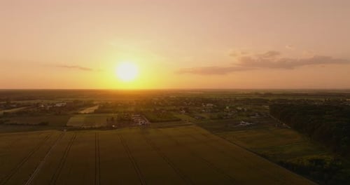 Grüne landwirtschaftliche Felder und dichte Wälder, eingefangen im warmen Licht der Sonne, Luftaufnahme