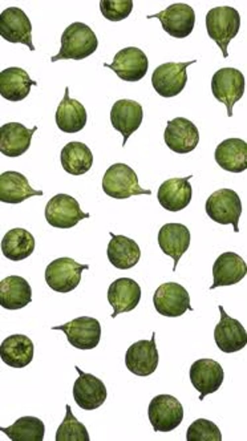 Green Berries Falling and Rotating on White Background