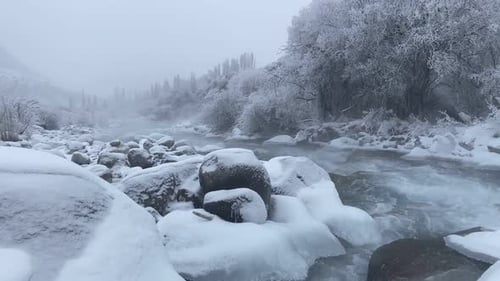 Mountain River Stream in Winter and Snow View on the River and Forest at the Winter Time Natural