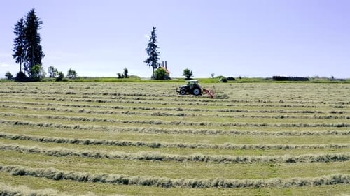 Processing hay
