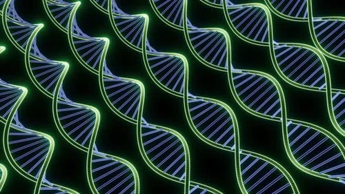 Moving Genetic Spirals