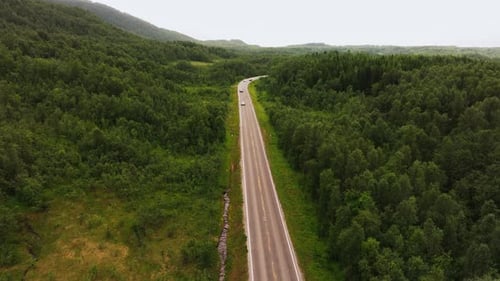 Aerial Drone Overhead of Car Driving Down Curvy Mountain Road Through Green Forest Valley with Trees
