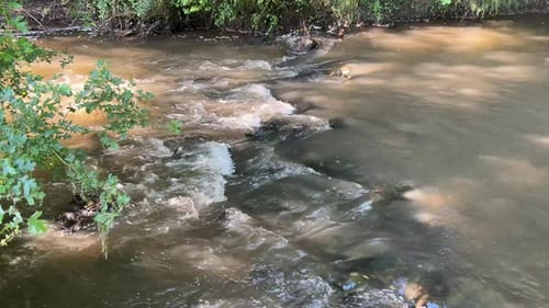 River running over rocks in sunlight