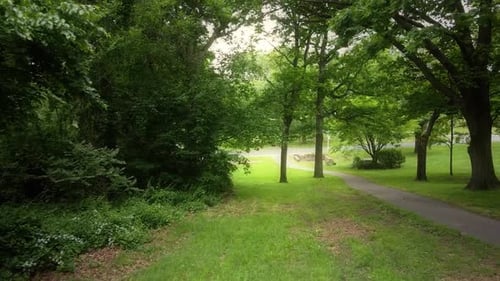 Slow, low aerial through a Philadelphia park in the spring on an overcast morning