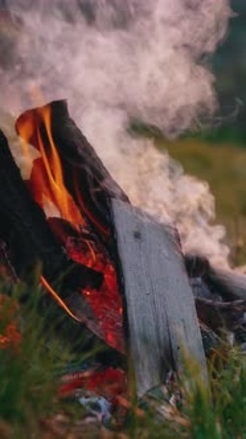 Branches qui brûlent dans le feu. Flamme brillante d'un feu de joie brûlant sur la nature. Vidéo verticale