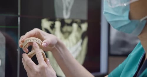Orthopädischer Zahnarzt hält Zähne, 3D-gedrucktes Modell des Kiefers des Patienten auf Röntgenhintergrund