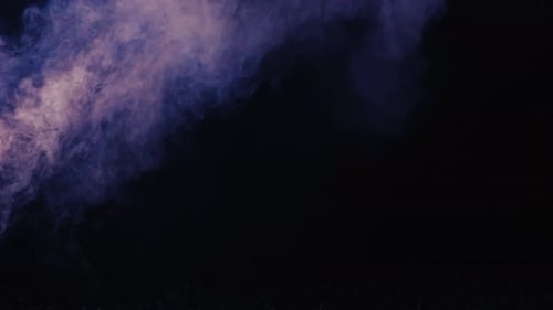 Fog (4K)