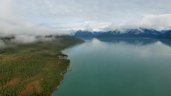 Taku Inlet Juneau Alaska Aerial Flight Along Wooded Coastline Green ...