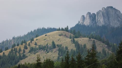 Panorama Of Mountains And Pine Tree Forest. - wide, telephoto
