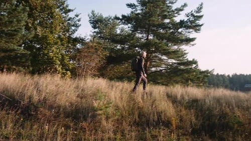 Man Walking Among Trees and Tall Grass in Soft Light of the Morning Sun