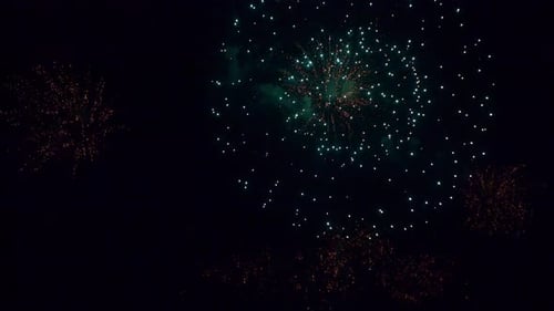 Vibrant Fireworks Exploding in the Night Sky