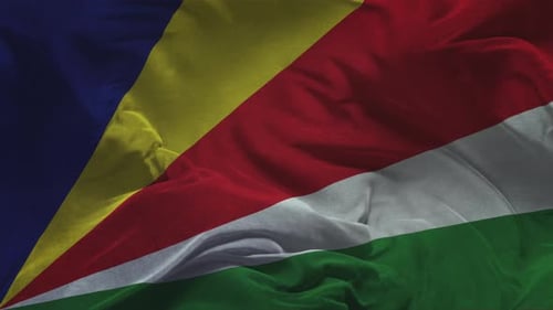 Waving Seychelles Flag Seamless Motion Background