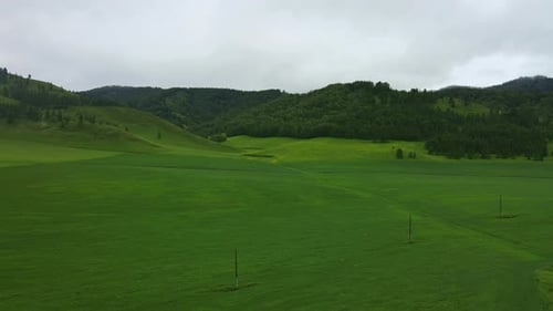 Green Field Against the Backdrop of Mountains