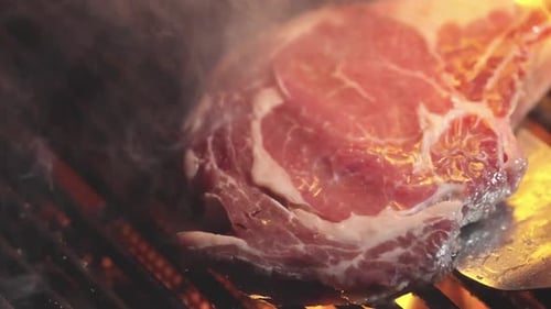Grilled Meat on Grill with Fire Roast Meat Grilled with Fire Flames Beef Steak on Grill Meat Steaks