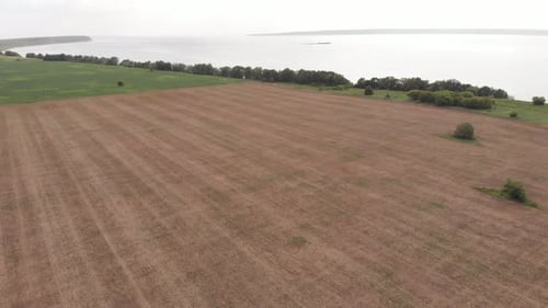 Feld