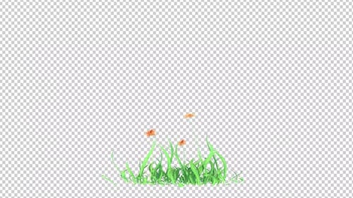 Yellow Roses Flower Plant Growing Transparent Background