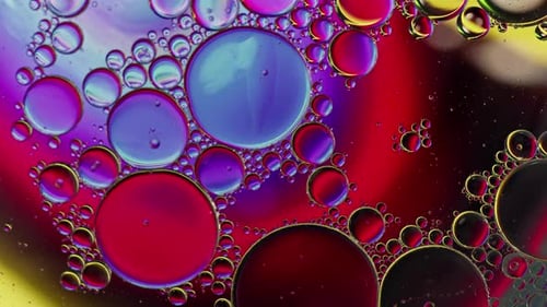 Abstract Bubbles Floating in Colorful Space