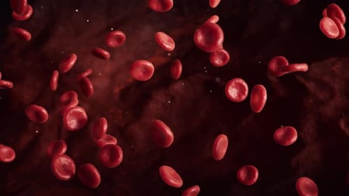Red blood cells with biological and medical concept