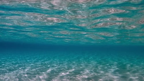 Incredible under water scene of crystalline turquoise tropical ocean water with rippled surface and