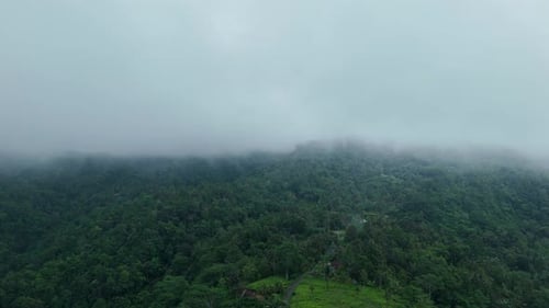 Aerial View of a Foggy Forest Inside the Clouds Wild Nature Jungle Bali