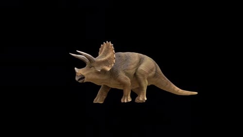 Triceratops Dinosaurier-Rundweg