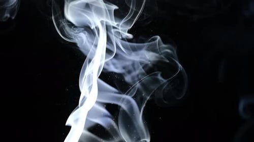 Elegant Smoke Dancing on a Black Background