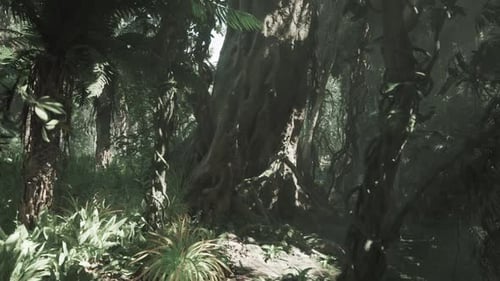 Exploring the Dense Jungle in Southern China with Diverse Flora and Sunlight