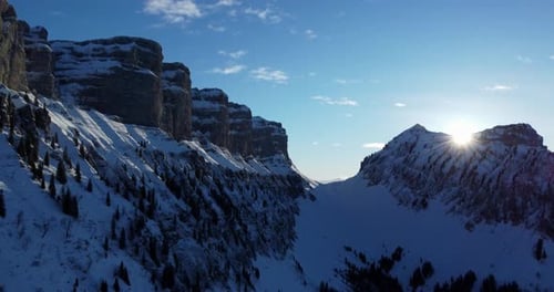 Winter Wonderland Forest Trees Woodland Scenery Outdoors