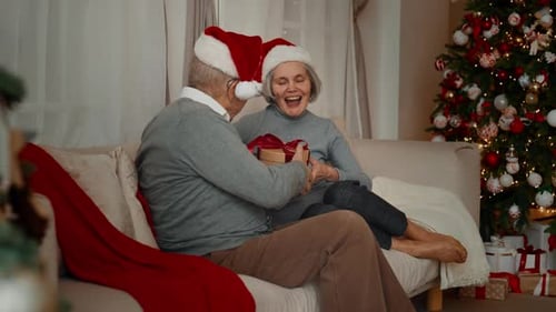 Senior Couple Exchanging Christmas Gifts by Decorated Tree