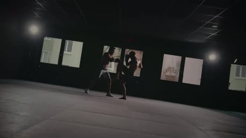 Mixed Martial Arts Fight