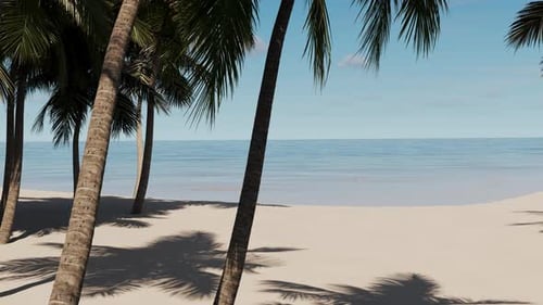 Palm tree over the sea in summer near the beach.