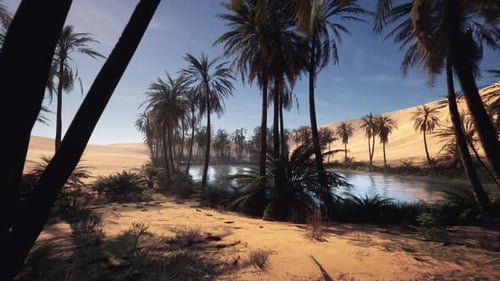 Peaceful Desert Oasis with Palm Trees and Clear Water