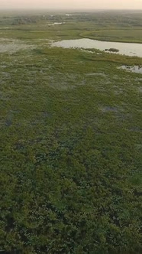 Vertical View Of Volga River with Natural Beauty in Russia