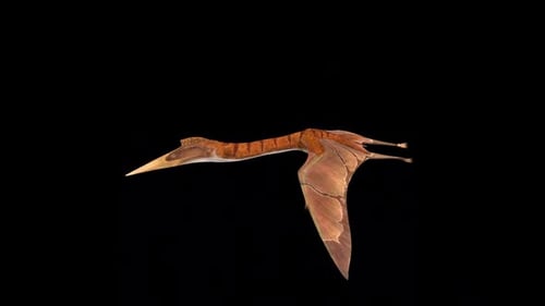 Quetzalcoatlus-Fliege