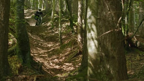 Mountain biker crashes in a gully and kicks up dust under light rays