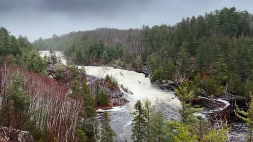 Scenic view of mountain river flowing through forest