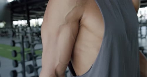 CloseUp View of Muscular Back in Gym Fitness Dedication