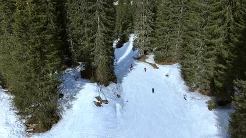 Skiing and Snowboarding Through a Forest Ski Run