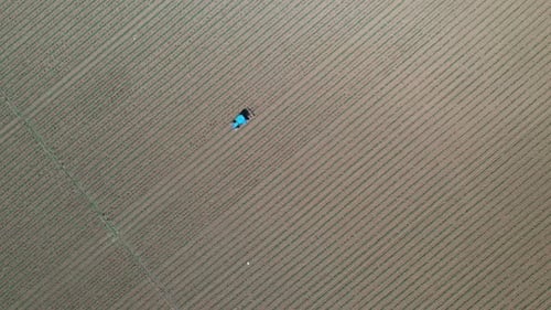 Agriculture field with tractor.