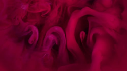 Abstract Swirling Red Ink Patterns in Water