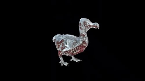 Rotating Decayed Dodo Bird Anatomy 3D Model