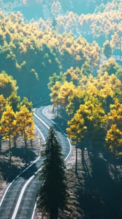 Beautiful Landscape of a Golden Yellow and Green Forest
