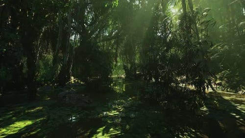 Un équipement axé sur la conservation au milieu d'une végétation marécageuse dense