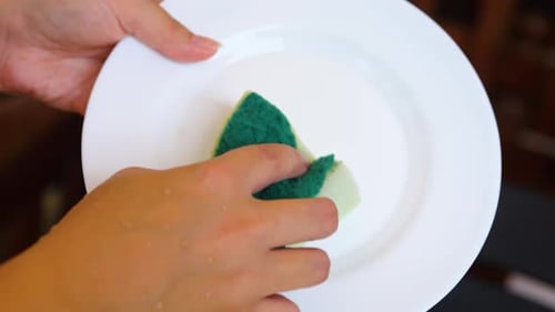 Hands Washing White Plate with Sponge in Kitchen