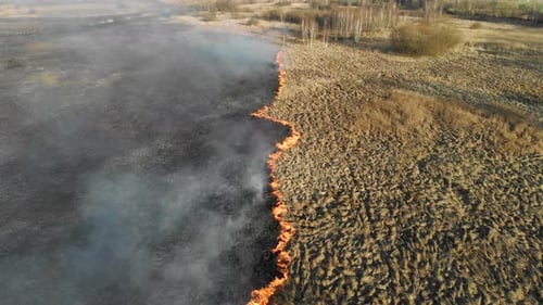 Largescale Fires